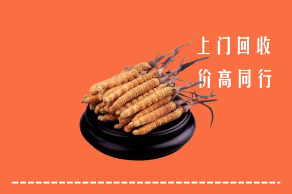 高价求购：宝应县回收散虫草