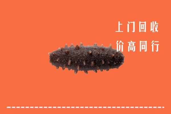 高价求购：宝应县回收海参