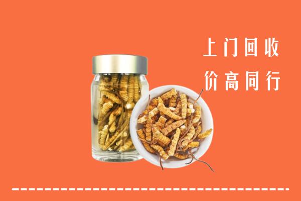 宝应县回收冬虫夏草
