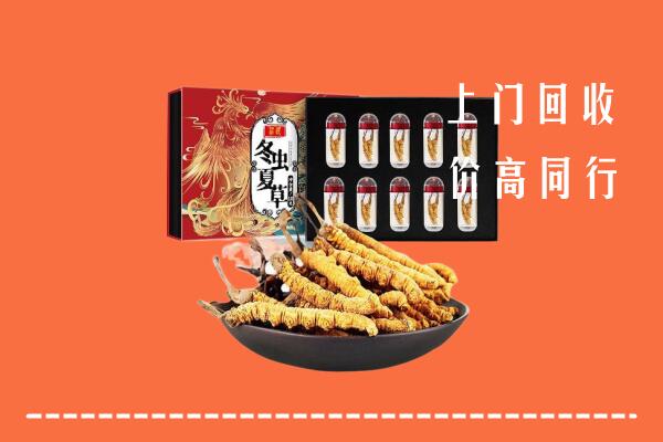 宝应县回收虫草